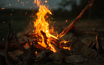 تضمین کیفیت محصول